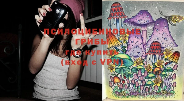 круглые Алзамай